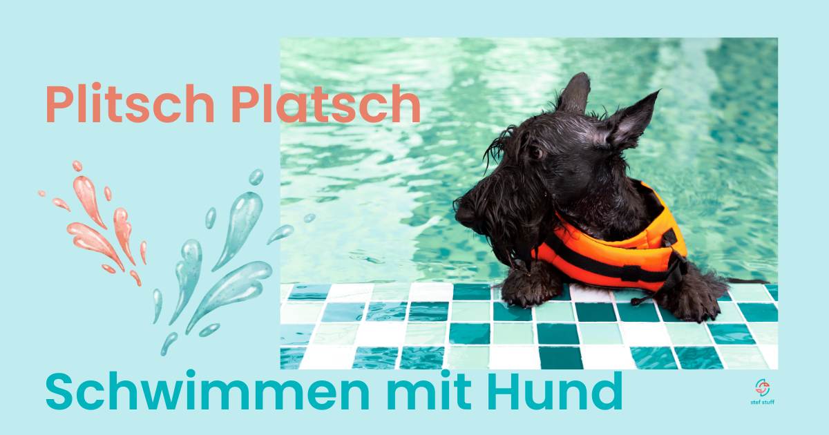 Schwimmen mit Hund: 6 Tipps für sicheren Badespaß im Sommer
