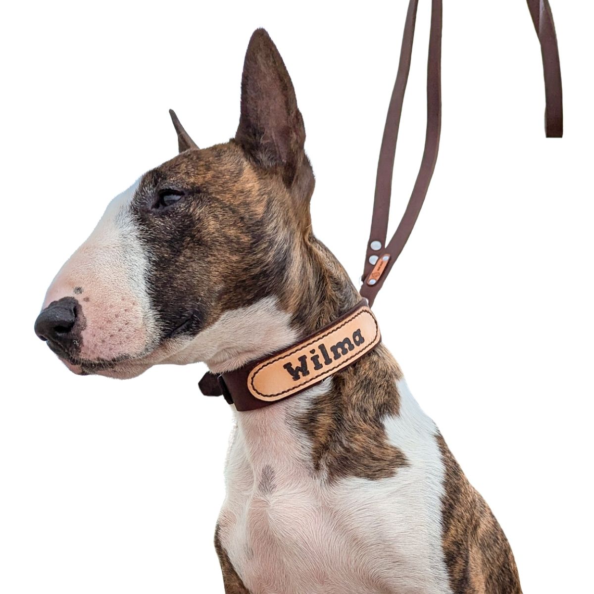 Breites Fettleder Hundehalsband mit Namensgravur