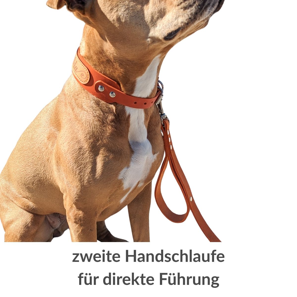Führleine Fettleder "Pure" mit doppelter Handschlaufe - für große Hunde