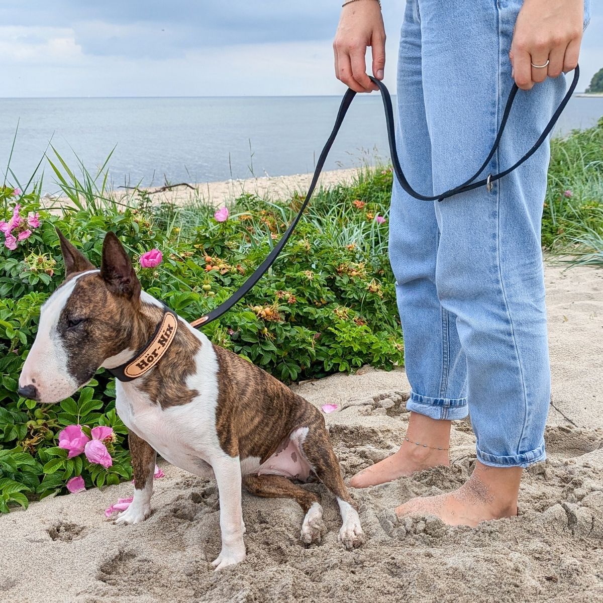 City-Leine Fettleder "Pure" für Hunde