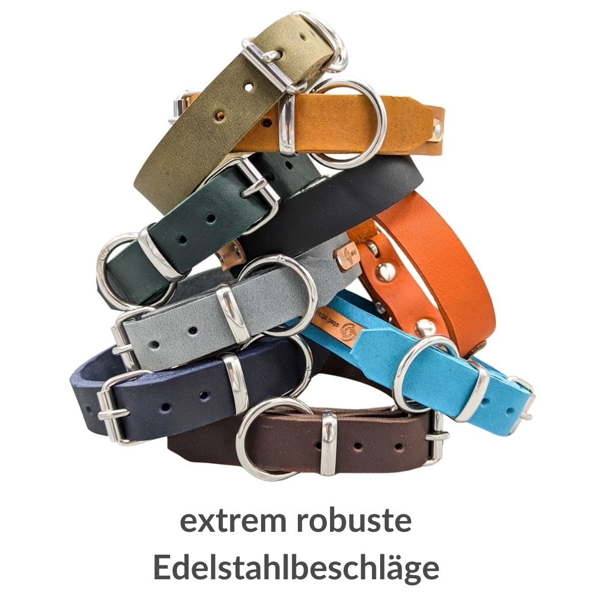 Fettleder-Halsband "Pure" - für kleine Hunde (Halsumfang 25 - 35 cm)