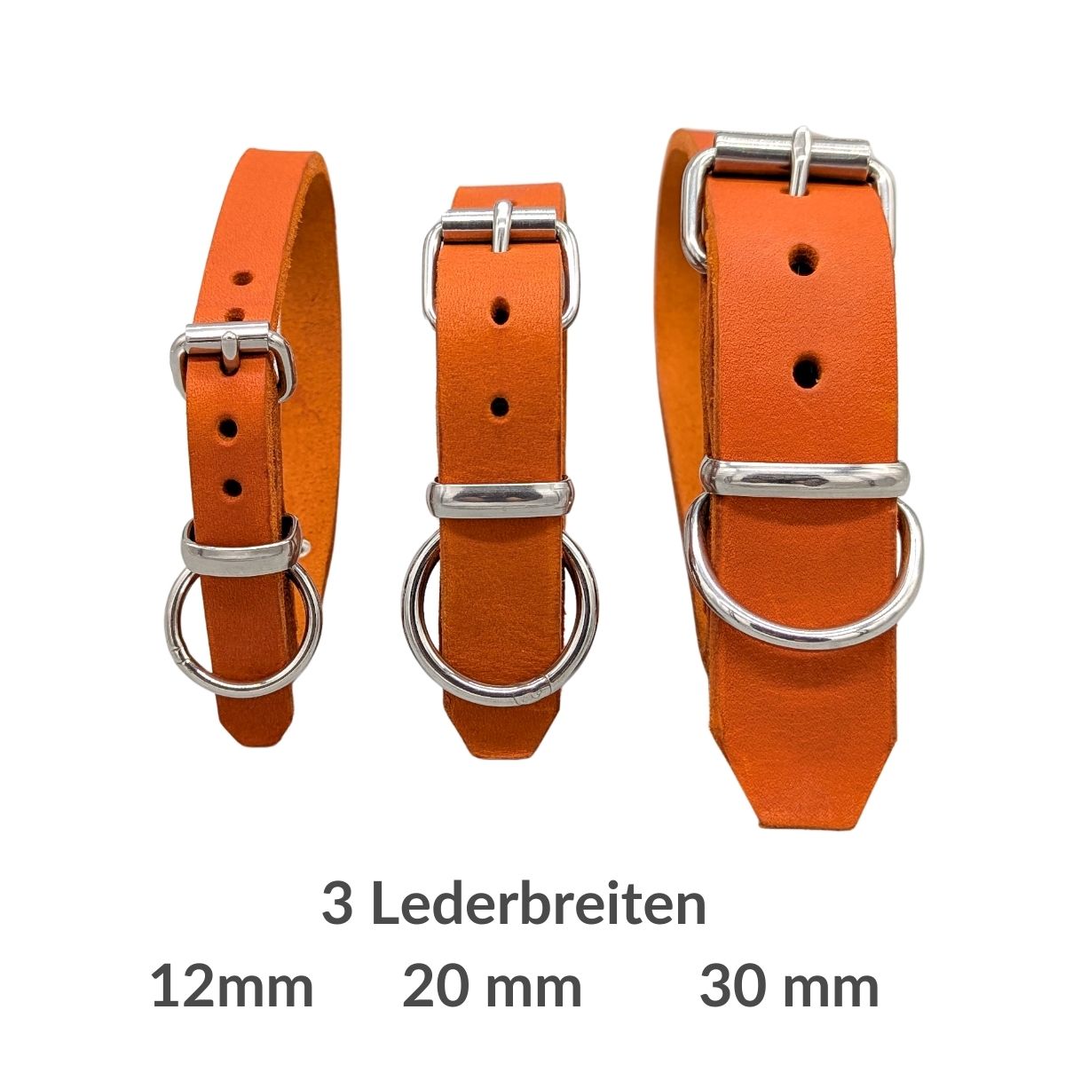 Fettleder-Halsband "Pure" - für kleine Hunde (Halsumfang 25 - 35 cm)
