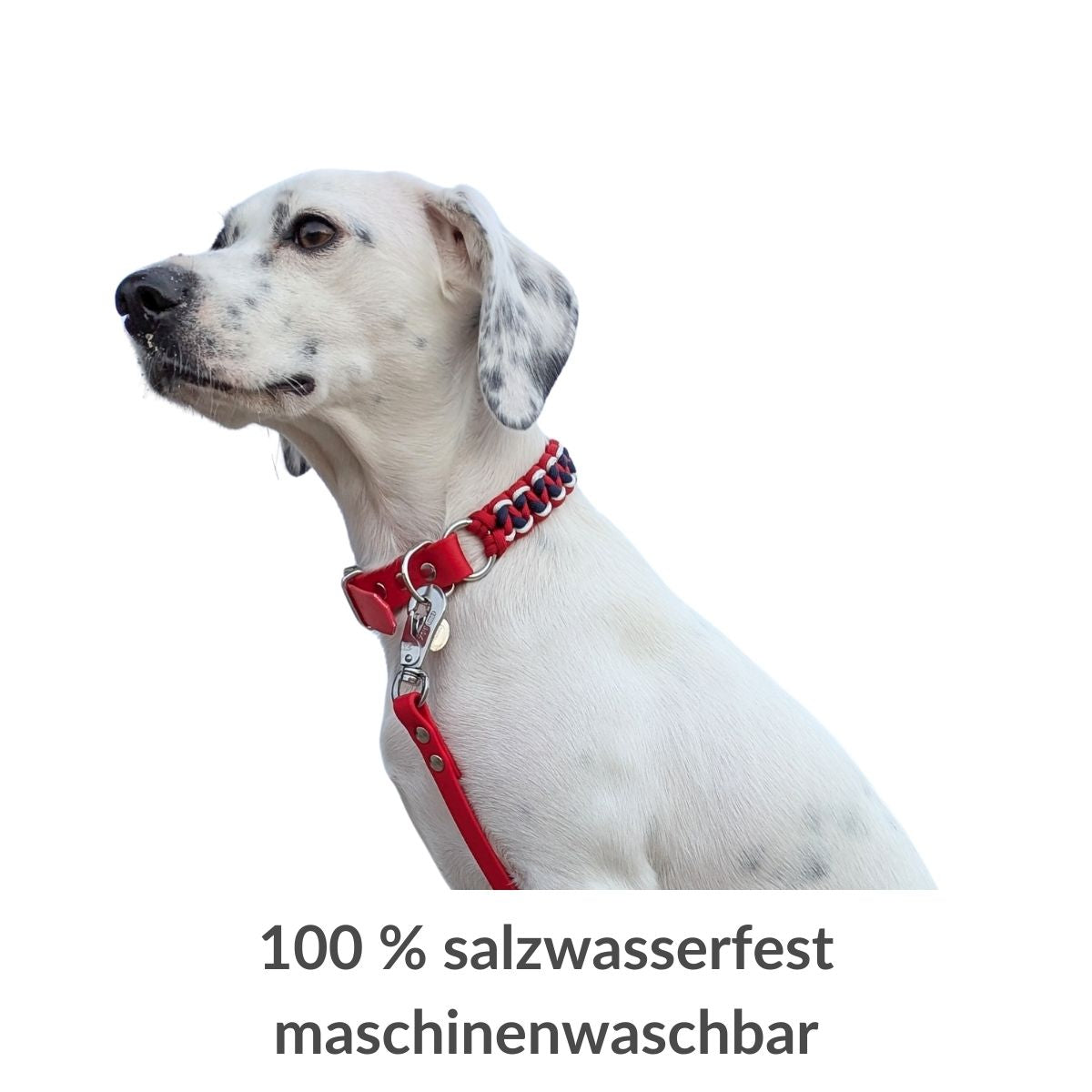 Seefahrer - robustes Biothane Halsband mit Paracord – Nautic oder Maritim