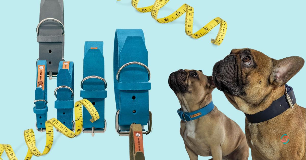 Hundehalsband messen – so findest du die richtige Größe