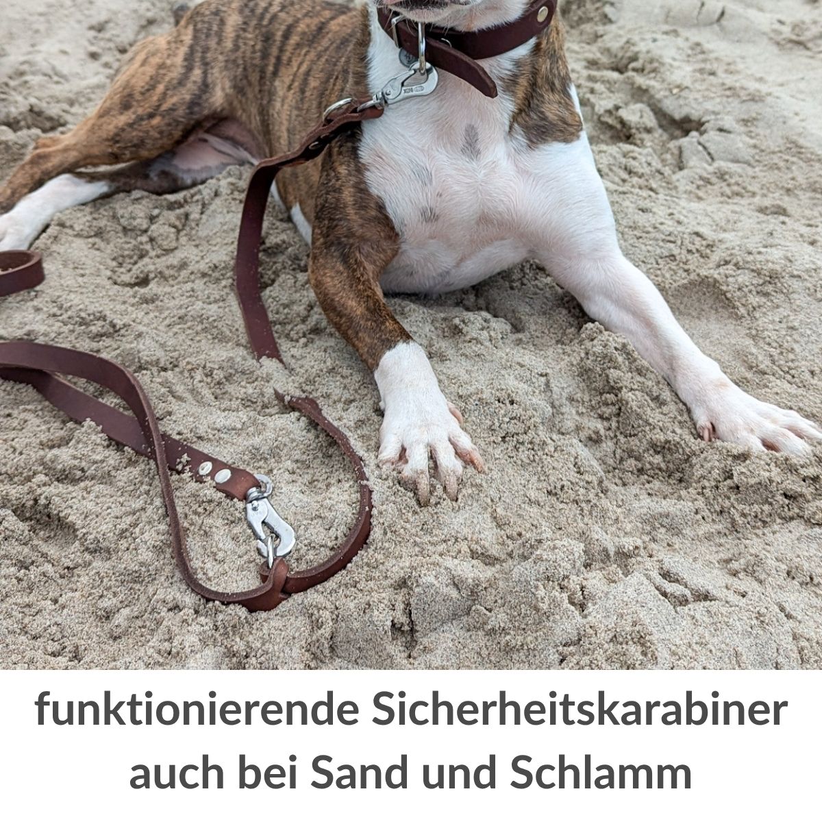 3-fach verstellbare Fettleder-Hundeleine „Pure“
