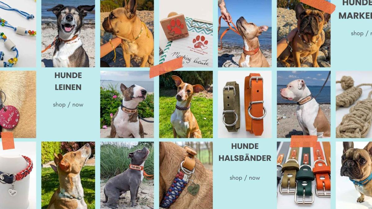 bei stef stuff gibt es hochwertiges Hundezubehör